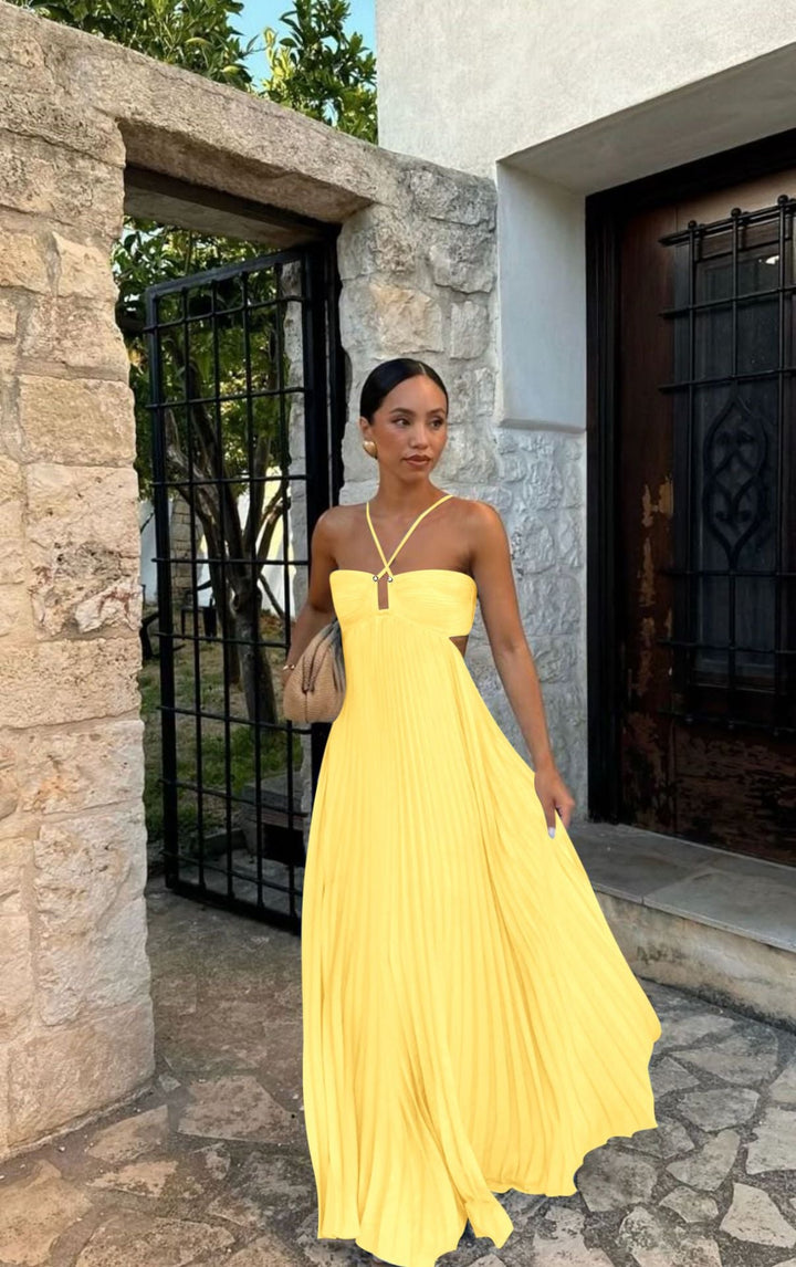 Lily Crompton | Pleated Halter Maxi Dress For Women
